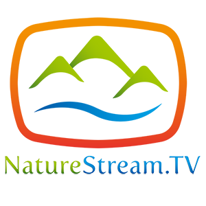 NatureStream.tv logo